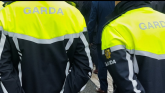 Man and woman arrested after Garda&iacute; find nearly &euro;600,000 of illegal drugs in the Midlands
