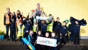 Limerick schools to take part in unique litter picking initiative 