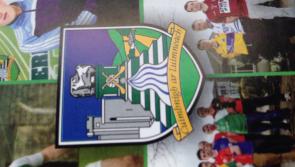 Quinn double sends St Pat's into Limerick SFC semi-final 