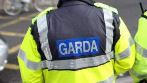 Garda&iacute; issue RT&Eacute; Crimecall appeal for information on man who robbed car in Limerick City 
