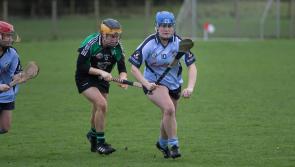 Limerick champions Na Piarsaigh toppled by Clanmaurice in Munster camogie final