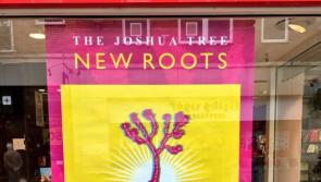 'Up Limerick!' Bono's message as Joshua Tree is re-imagined for children's charity