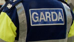 Garda&iacute; seek witnesses after man stabbed in wooded area on St Stephen's Day