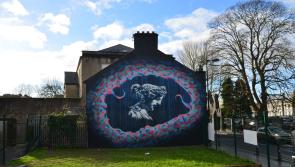 Goddess Sionna casts her eye over Limerick's Bridge Street in giant mural