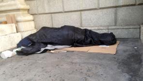 Families requiring help from homeless charity rose by 60% last year - report 