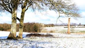 Limerick authorities warn that public should 'remain at home' during red alert