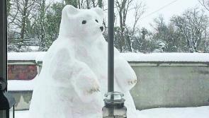 Snow patrol: Impressive polar bear tops Limerick poll for best snow creation