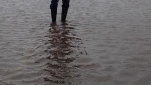 BREAKING: Fire service tackle flooding in Limerick housing estate overnight