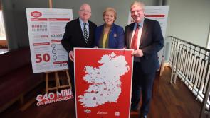 Jobs boost as Supermac&rsquo;s boss expected to invest &euro;1.5m in County Limerick hotel