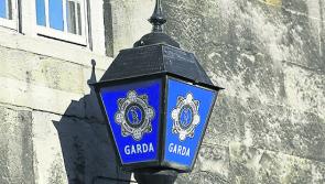 BREAKING: Woman arrested over murder of elderly man in north Dublin
