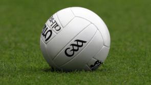 University of Limerick earn home Sigerson Cup quarter-final date with DCU