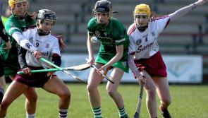Disappointing Limerick no match for Galway in camogie league semi final