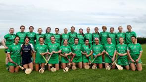 Players take ill after Limerick camogie games leading to water quality investigation