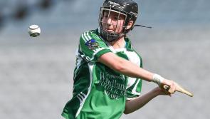 Clinical Limerick too good for Clare in Littlewoods Camogie League
