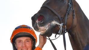 Limerick jockey is toast of Galway Festival punters after thrilling win