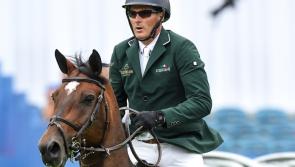 Limerick showjumper selected in Irish team for European Championships