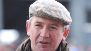 Limerick racehorse trainer has licence suspended for six months