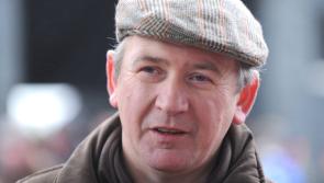 Limerick trainer's appeal over six-month ban due to be heard today