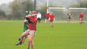 John the Baptist have Dr Harty Cup hopes dashed by St Colman's 