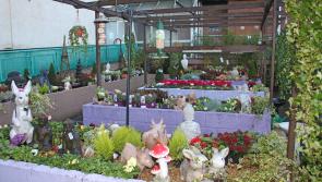 Charity shop grows its Limerick offering with garden store