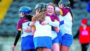 Strong Limerick representation as UL seek to continue camogie dominance