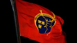 Munster Rugby consulted with World Health Organisation COVID-19 Report ahead of Italian PRO14 fixture