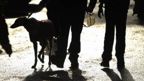 Irish Cup Coursing event in Limerick will not take place