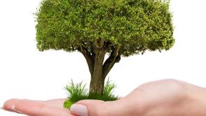 Project launched to help  finance third-level education for asylum seekers in Direct Provision 