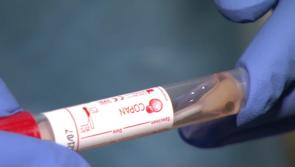 New CMO warns Irish public to prepare for winter as number of Covid infections rise