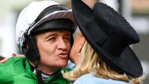 How your bets fared - complete results from Day 2 of the Cheltenham Festival