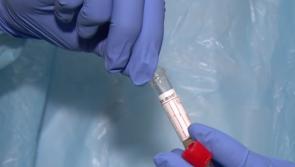 Teachers want Covid-19 contact tracing to return to schools