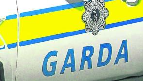 &nbsp;Garda&iacute; seek witnesses to fatal two-car collision where vehicle overturned