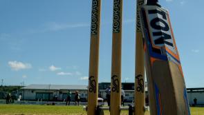 Limerick bow out of Munster Premier t20 cricket competition