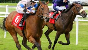 Winners alright for Limerick racing enthusiasts