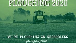 Missing the ploughing? We are ploughing on regardless!