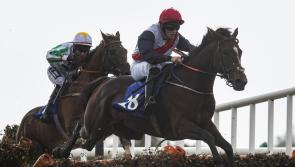 Rich pickings for Limerick racing enthusiasts