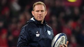 Mike Prendergast flying Limerick flag on Europe's biggest day