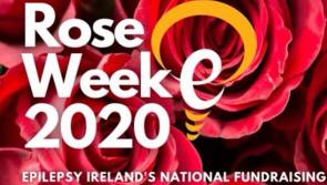 Limerick rugby club completes 40,000 press-up target for Epilepsy Ireland