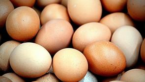 Batches of eggs recalled from Irish supermarkets due to salmonella fears  