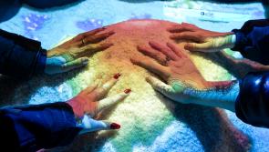 Joy for Limerick students as projects are selected for BT&nbsp;Young&nbsp;Scientist&nbsp;& Technology Exhibition