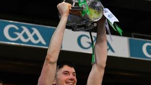 Limerick hurling year in review 2020