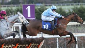 Star-studded entry list for Dublin Racing festival