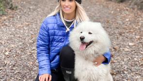 Limerick's Niamh De Brun on life in lockdown, keeping fit and postponing her wedding to Kilkenny hurler TJ Reid