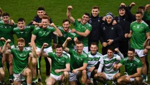 Limerick hurlers short-listed for top RTE Sport accolade