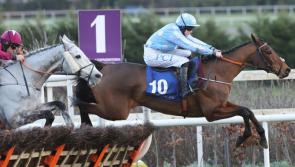 Superstars of the turf set for weekend Dublin Racing Festival