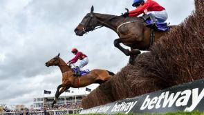 Road to redemption for Irish Gold Cup favourite and Cheltenham fancy