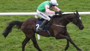 Several notable Limerick successes on the racecourse