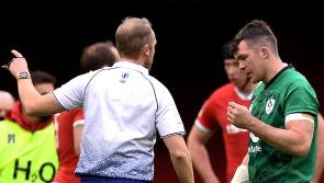 Ireland flanker Peter O'Mahony handed three-game ban