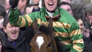 Limerick's much-loved racehorses feature in new TG4 series