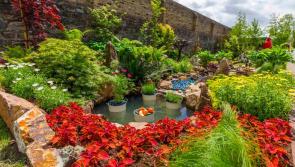 Bloom Festival 2021 the latest event to fall victim to Covid-19